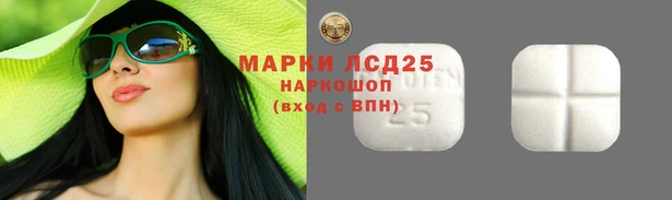 дмт Аркадак