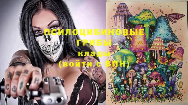 хмурый Арсеньев