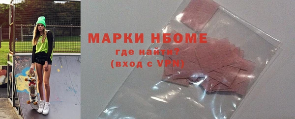 хмурый Арсеньев